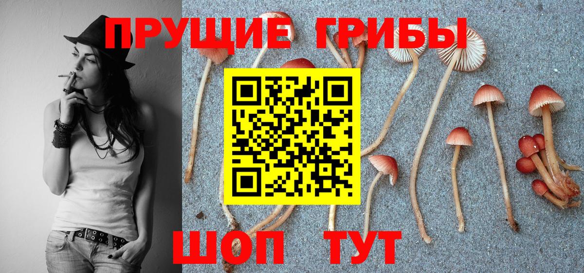 закладки  Псилоцибиновые грибы Magic Shrooms  Вход с VPN  Пыть-Ях 